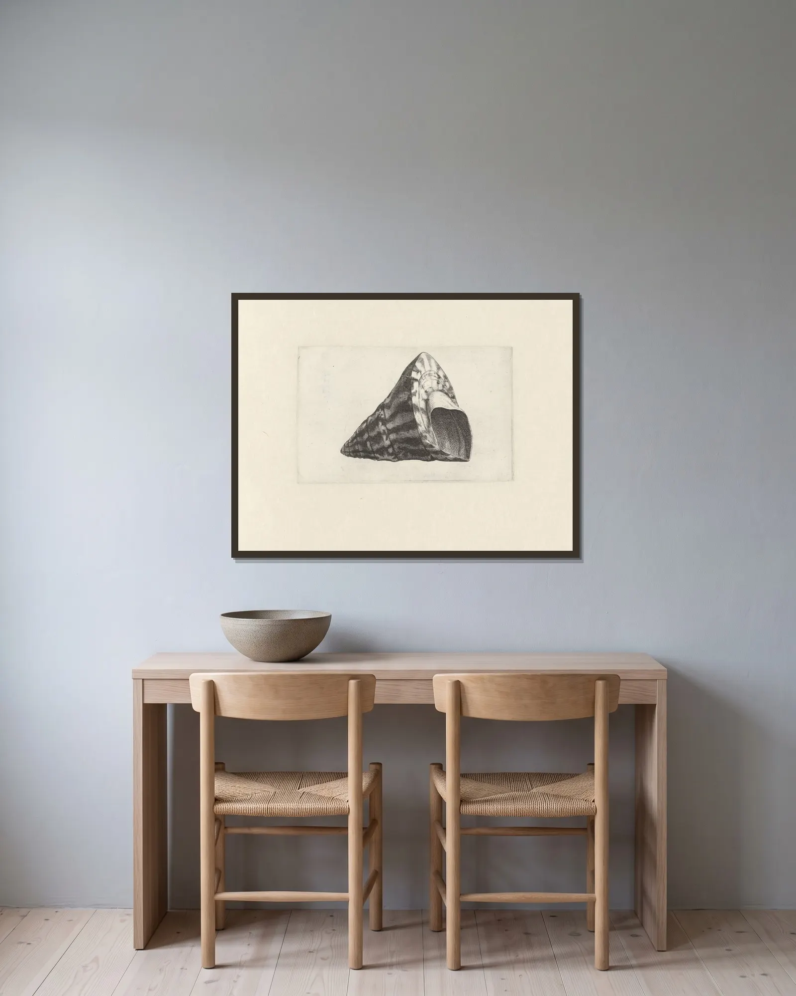Commercial top-shell (Trochus niloticus) av Wenceslaus Hollar inramad på en vägg