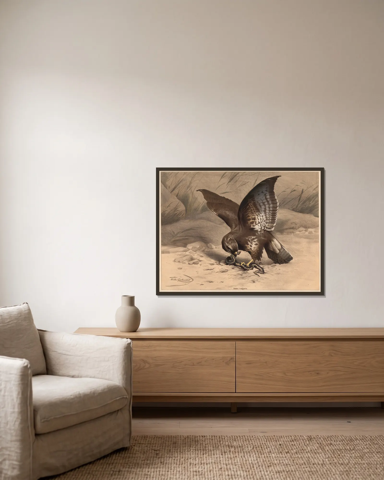 Buzzard av Wilhelm Kuhnert inramad på en vägg