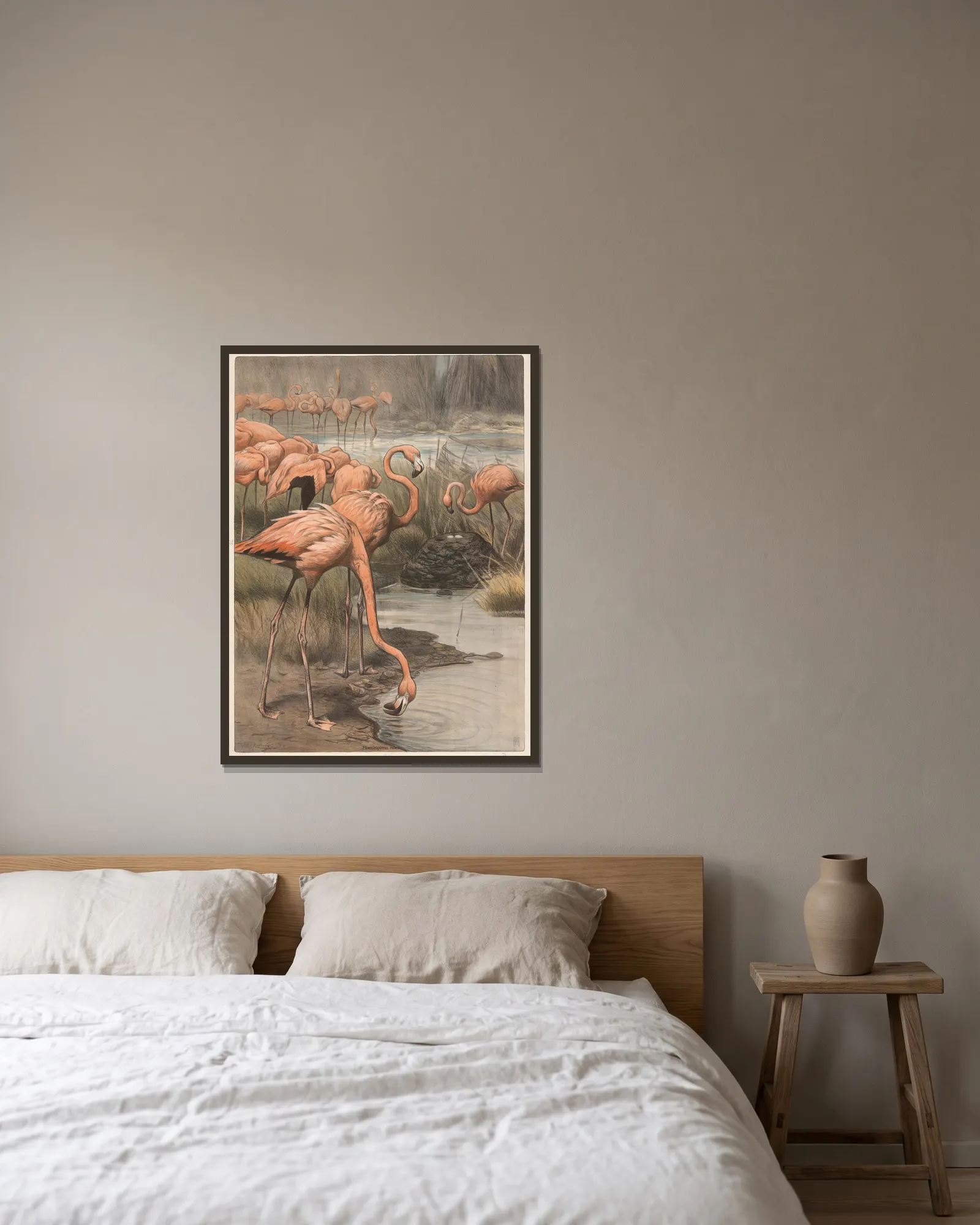Flamingo av Wilhelm Kuhnert inramad på en vägg
