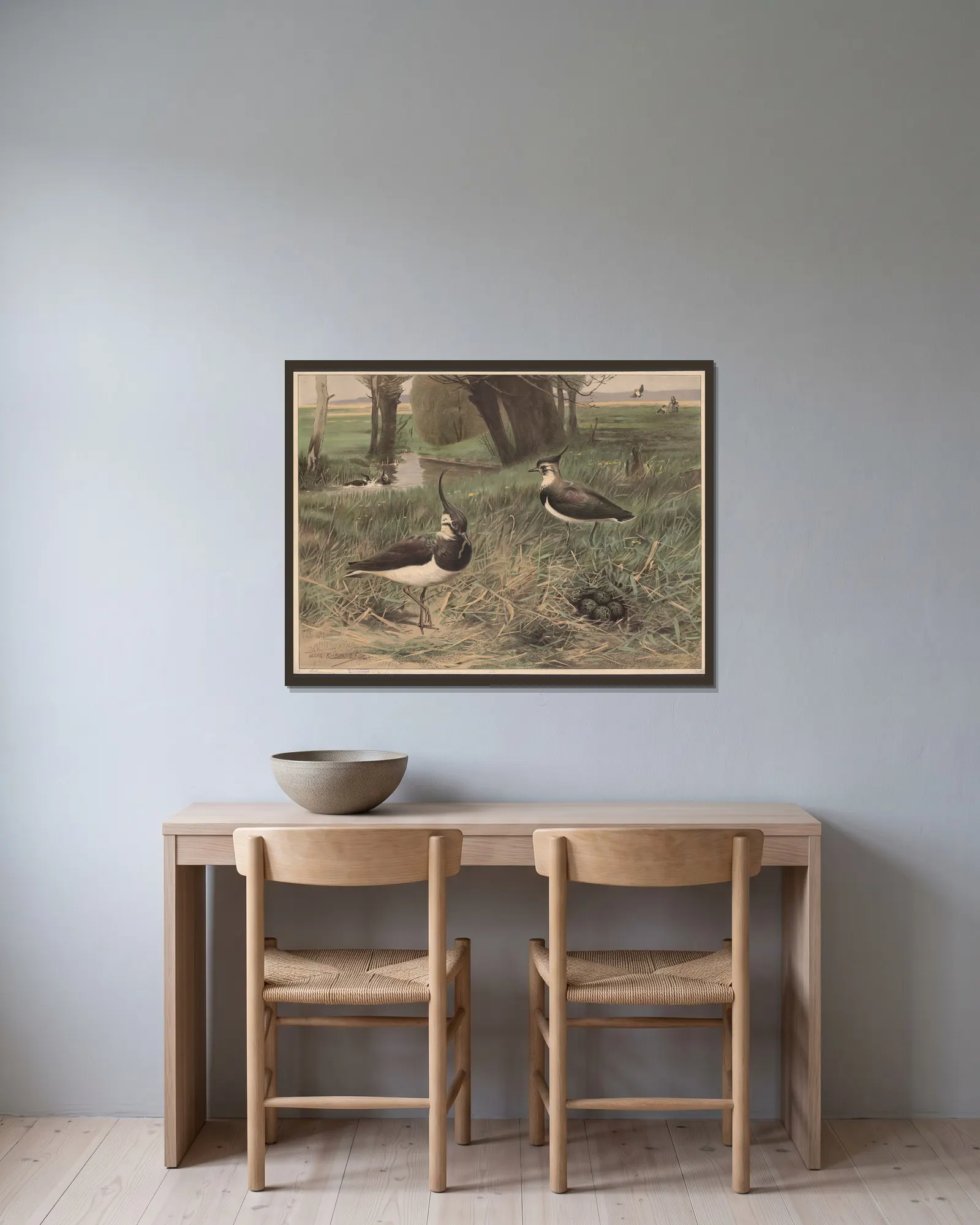 Northern lapwing av Wilhelm Kuhnert inramad på en vägg
