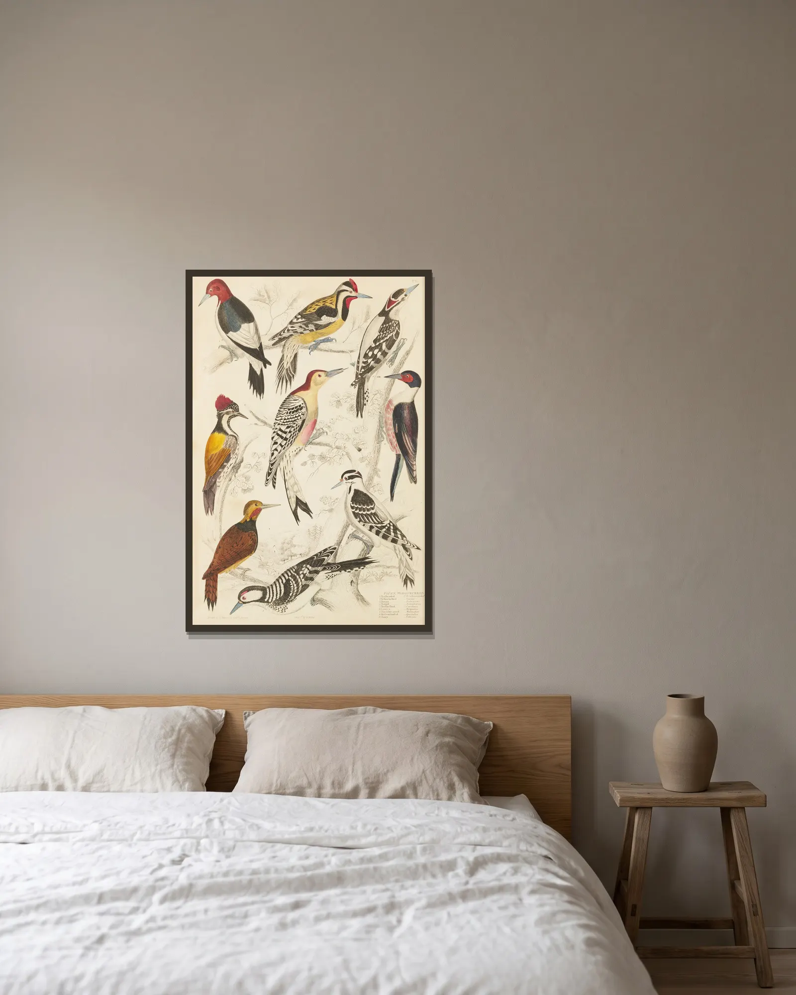 Woodpeckers av William MacGillivray inramad på en vägg