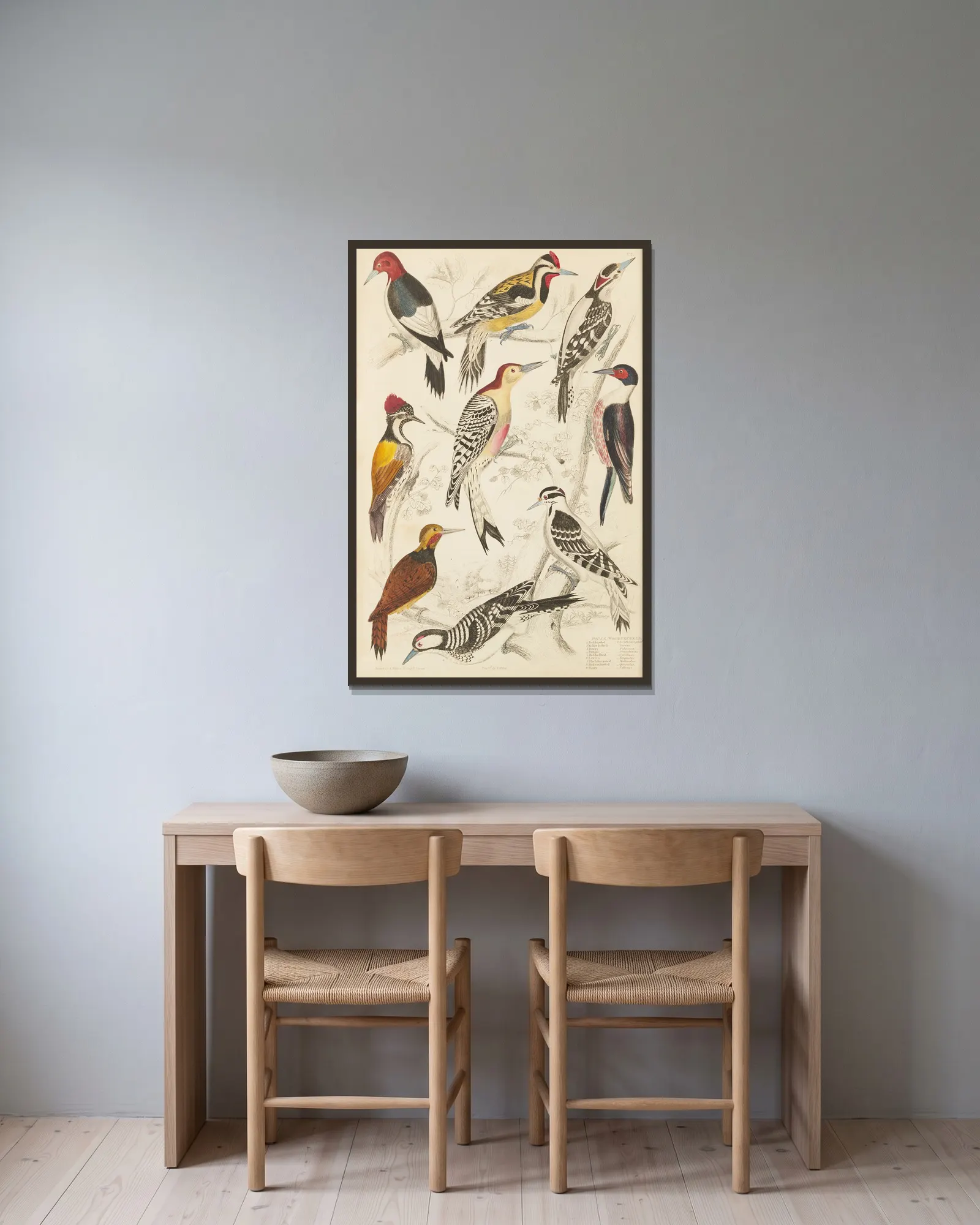 Woodpeckers av William MacGillivray inramad på en vägg