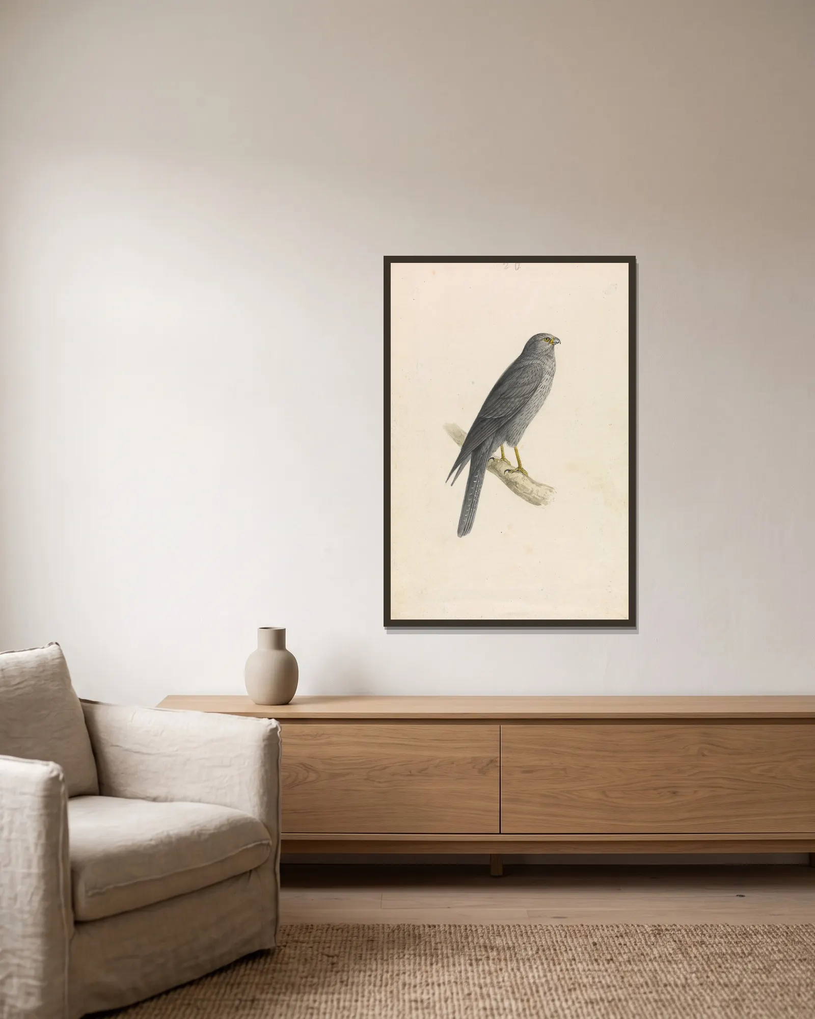 Sooty Falcon av William Swainson inramad på en vägg