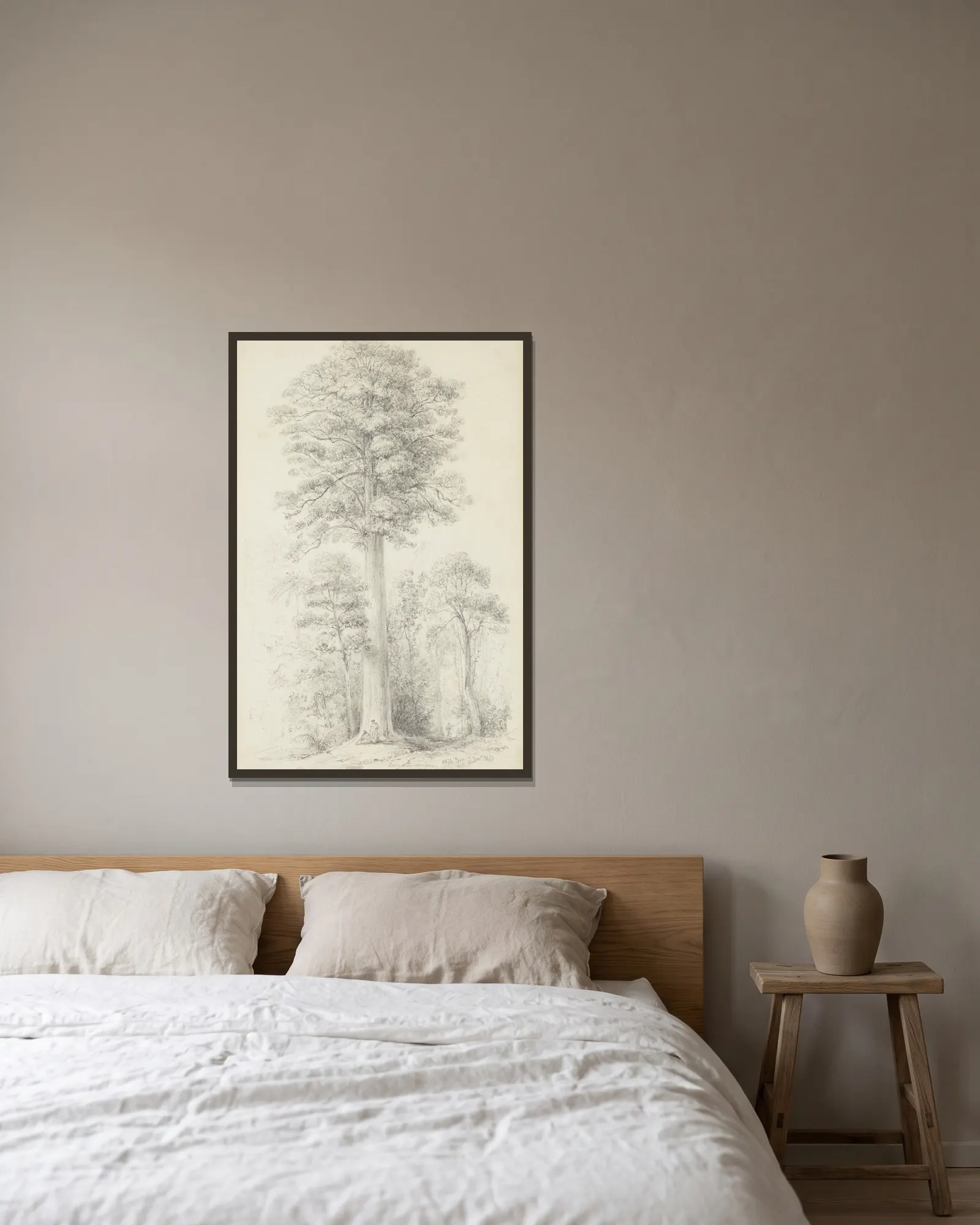 White pine av William Swainson inramad på en vägg