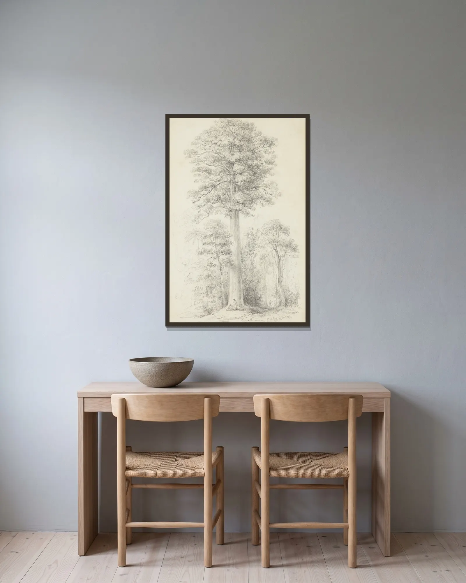 White pine av William Swainson inramad på en vägg