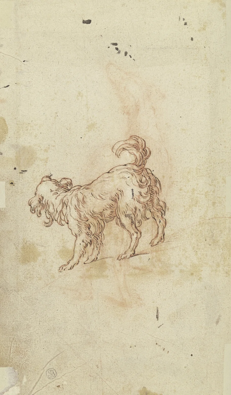 Study sheet; two dogs av Abraham Bloemaert