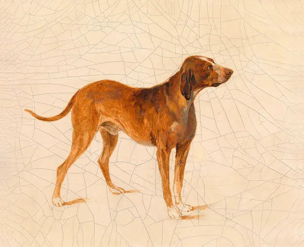 Jagdhund av Adalbert Stifter