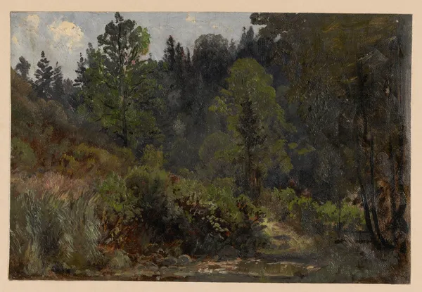 Bush and trees by the Szczawnik av Adolf Dressler