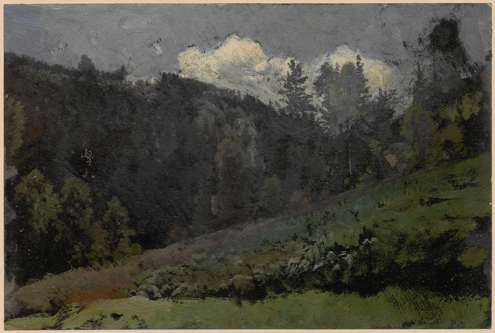 Mountain slope av Adolf Dressler