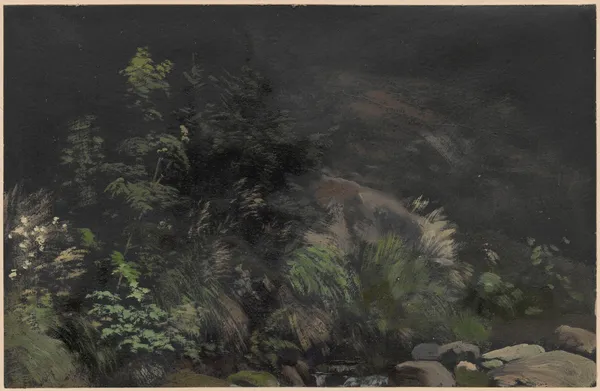 Plants on rocks av Adolf Dressler