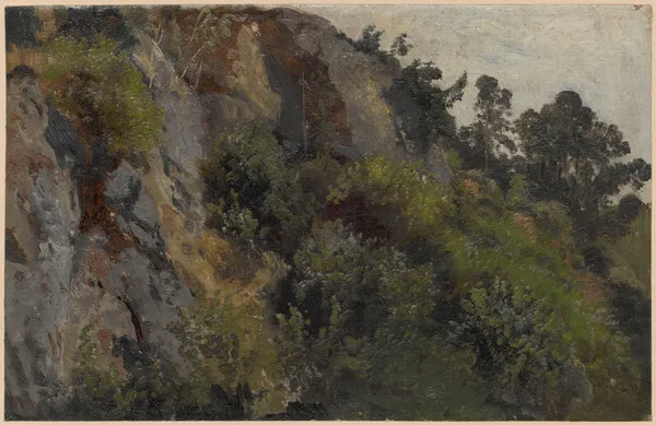 Rocky slope overgrown with plants av Adolf Dressler