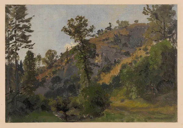Slope overgrown with trees in the Szczawnik valley av Adolf Dressler