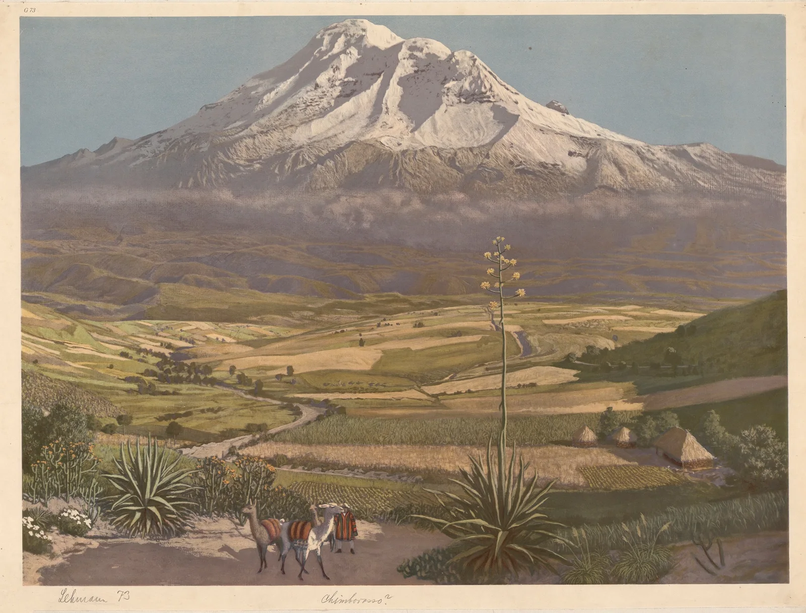 Chimborosso av Adolf Lehmann