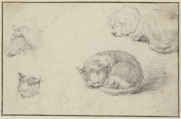 Schlafende Katze und Hund, ein Kuhkopf und ein Katzenkopf av Aelbert Cuyp