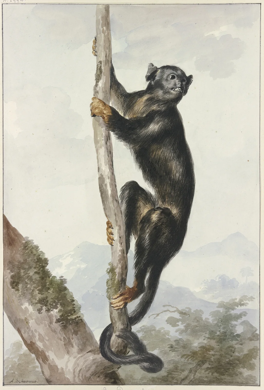 Bos duyvel av Aert Schouman