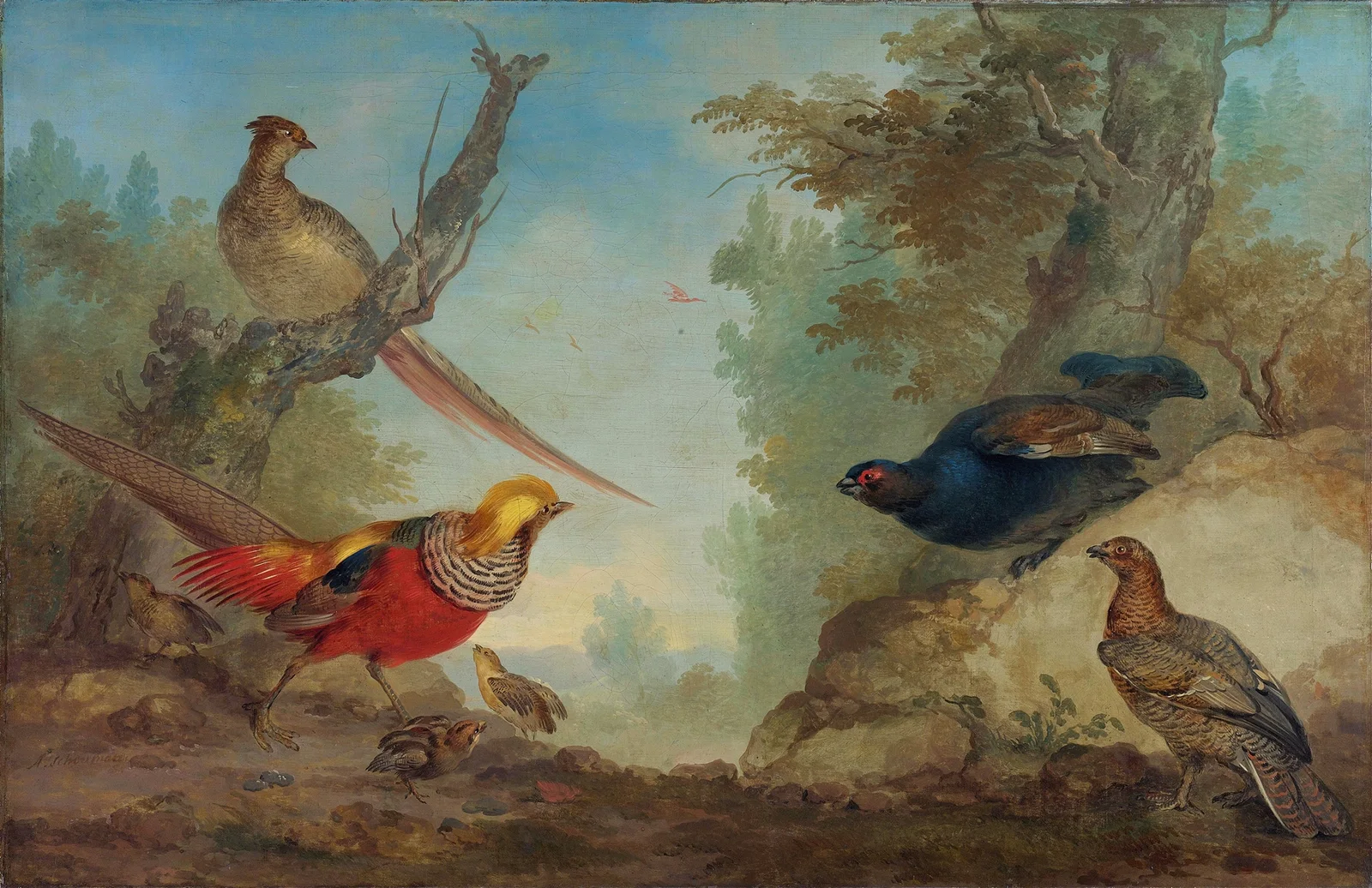 Pheasants av Aert Schouman