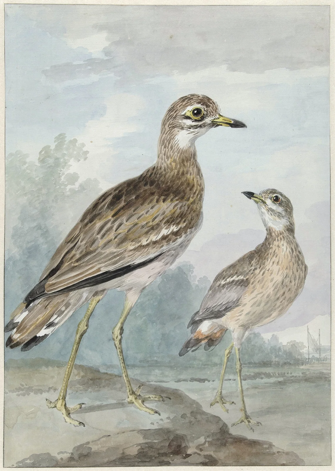 Twee grielen av Aert Schouman