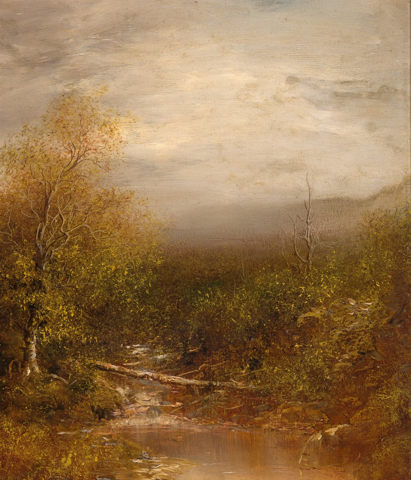 Pool in the Adirondacks av Ralph Albert Blakelock