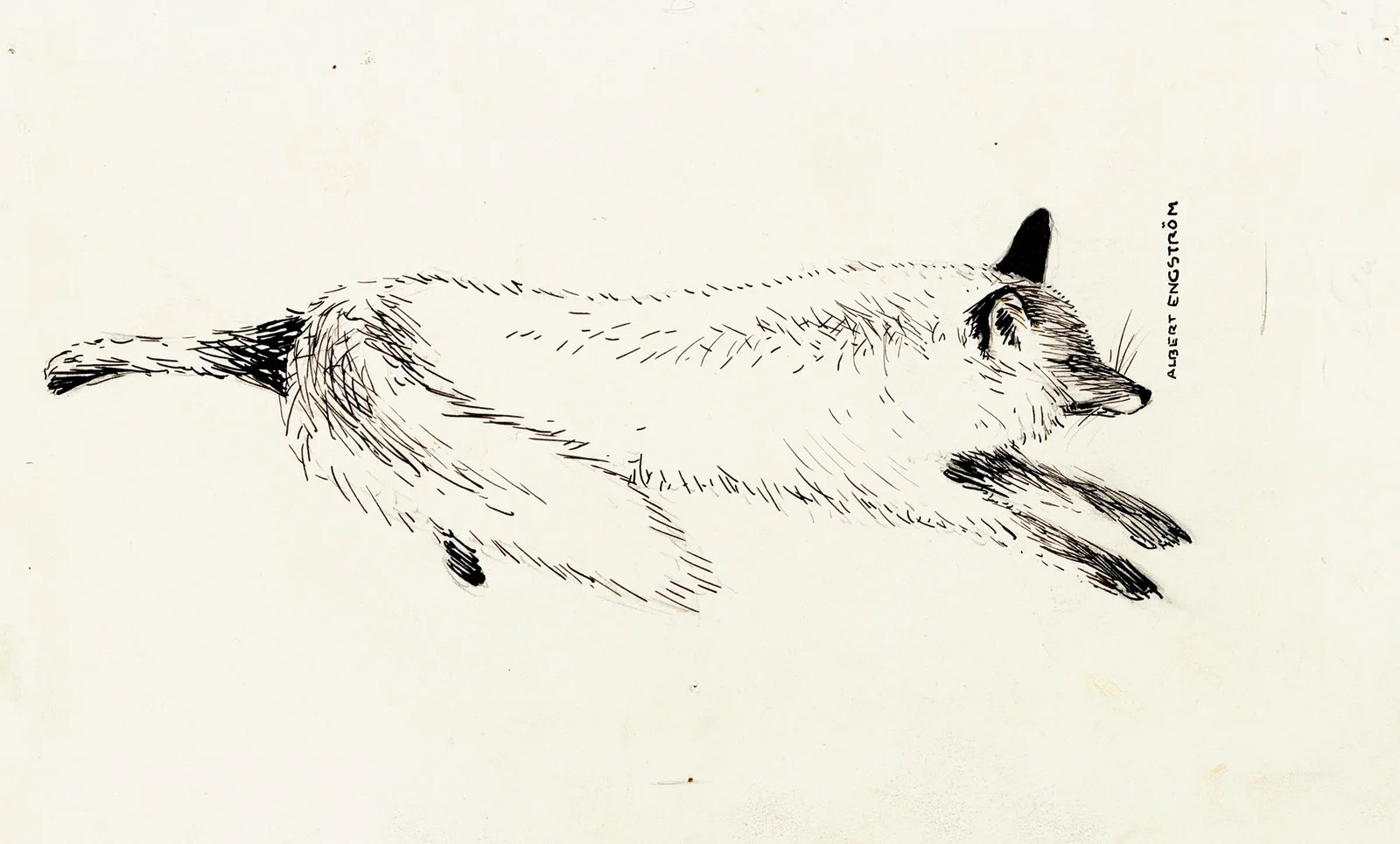 Eager for the Hunt av Albert Engström