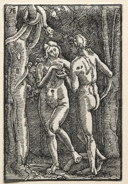 Adam and Eve Eating the Forbidden Fruit av Albrecht Altdorfer