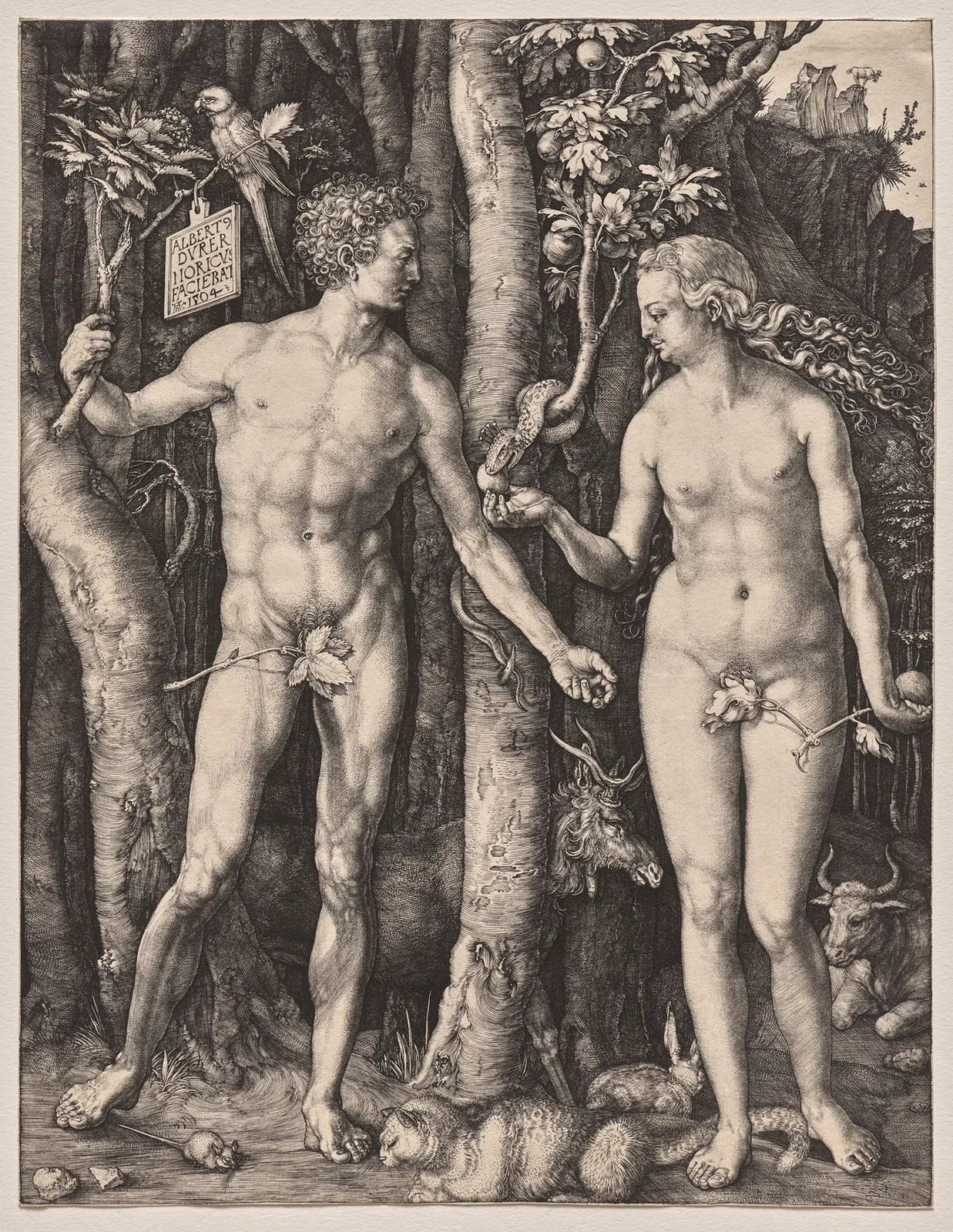 Adam and Eve, 1504 av Albrecht Dürer