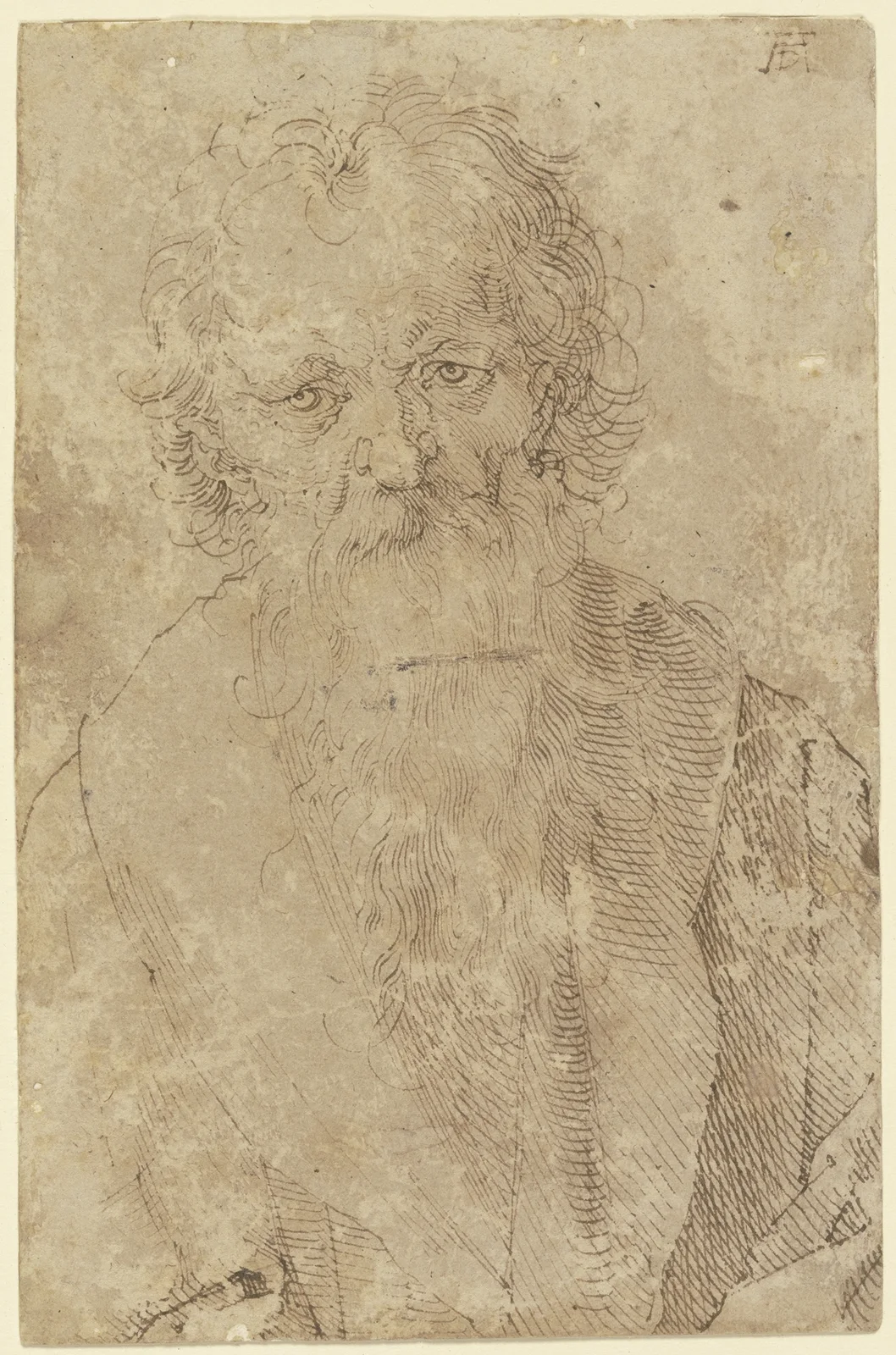Bearded old man av Albrecht Dürer