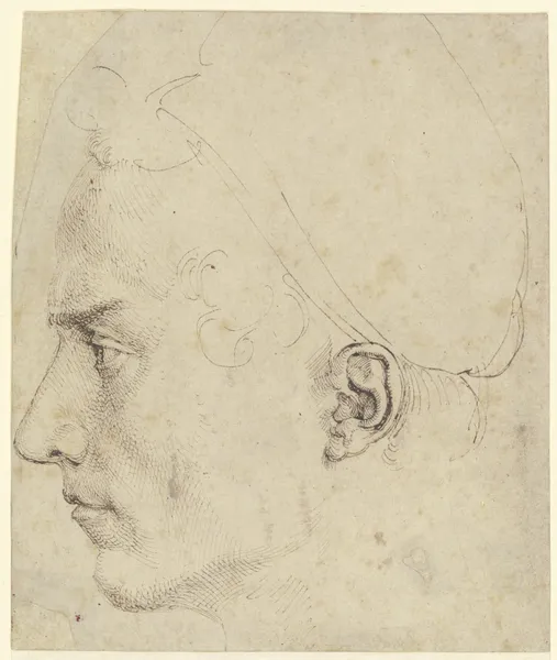 Male head in profile av Albrecht Dürer