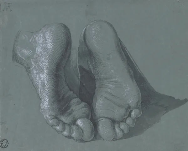 Study of Two Feet av Albrecht Dürer
