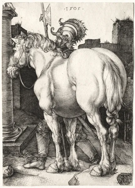 The Large Horse av Albrecht Dürer