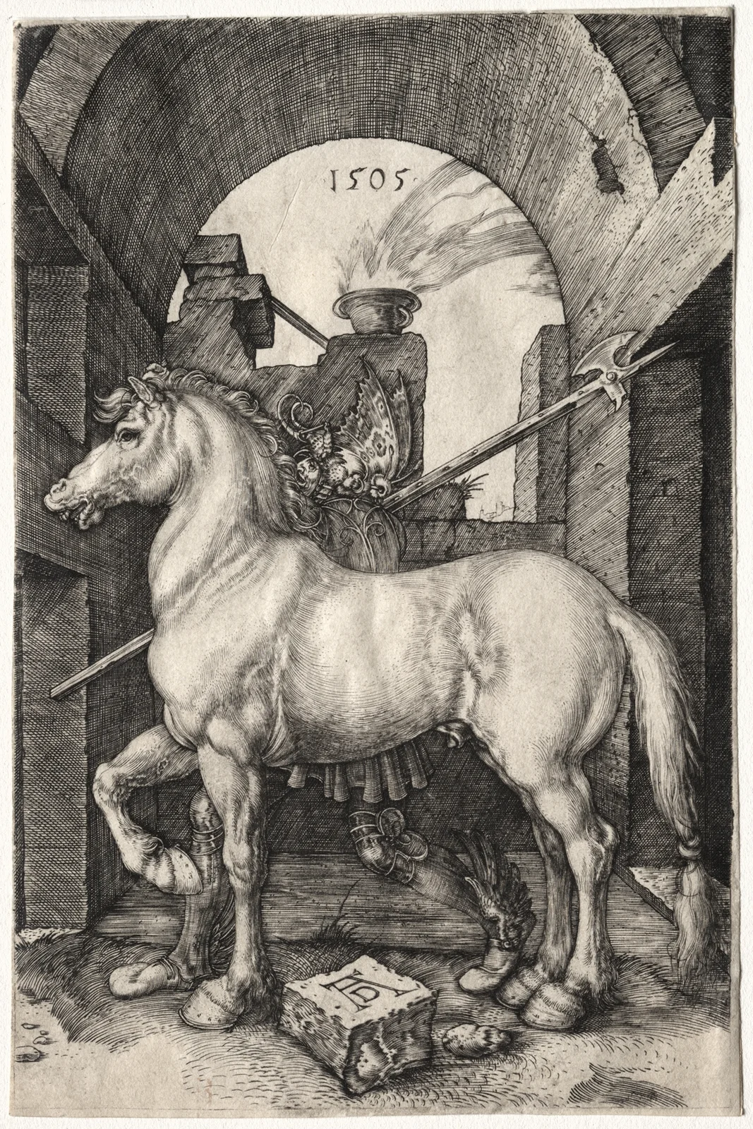 The Small Horse av Albrecht Dürer