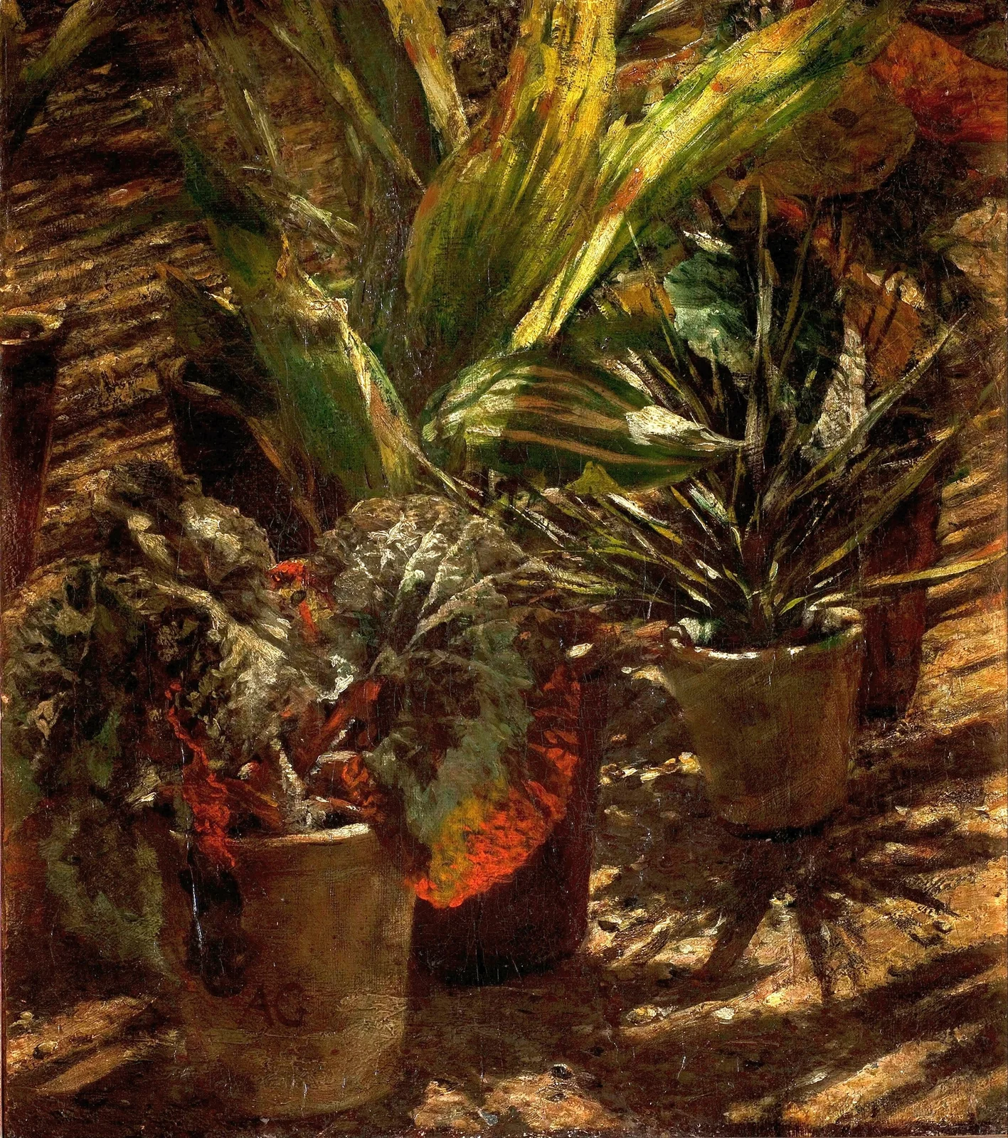 Begonias av Aleksander Gierymski