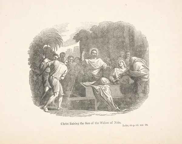 Christ raising the son of the widow of Nain. av Alexander Anderson