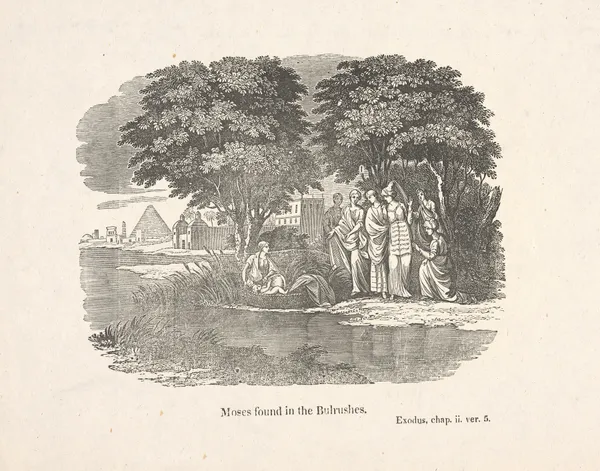 Moses found in the bulrushes. av Alexander Anderson