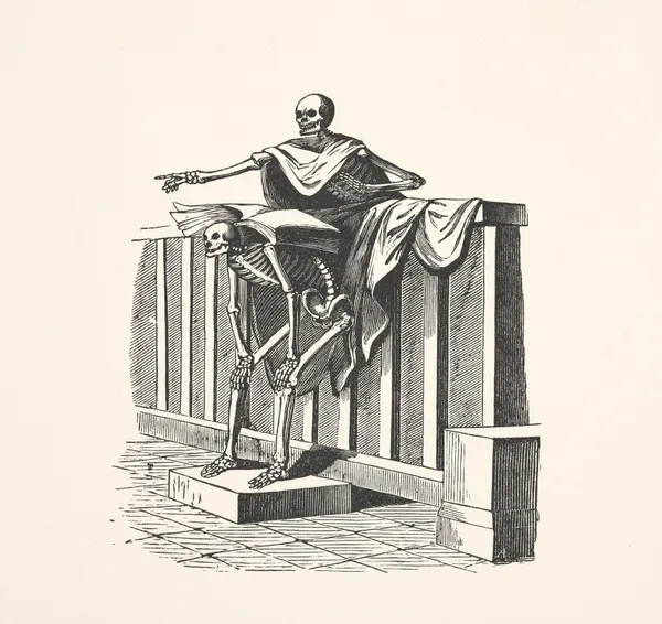Two skeletons av Alexander Anderson