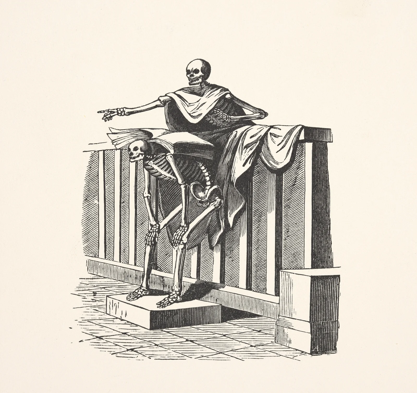 Two skeletons av Alexander Anderson