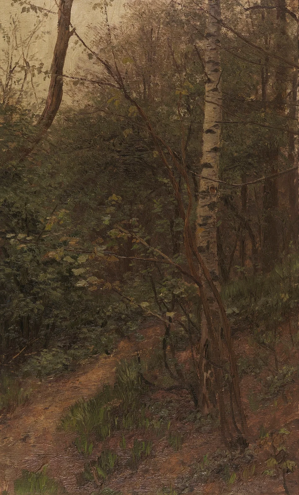 Birken am Waldrand av Alexander Koester