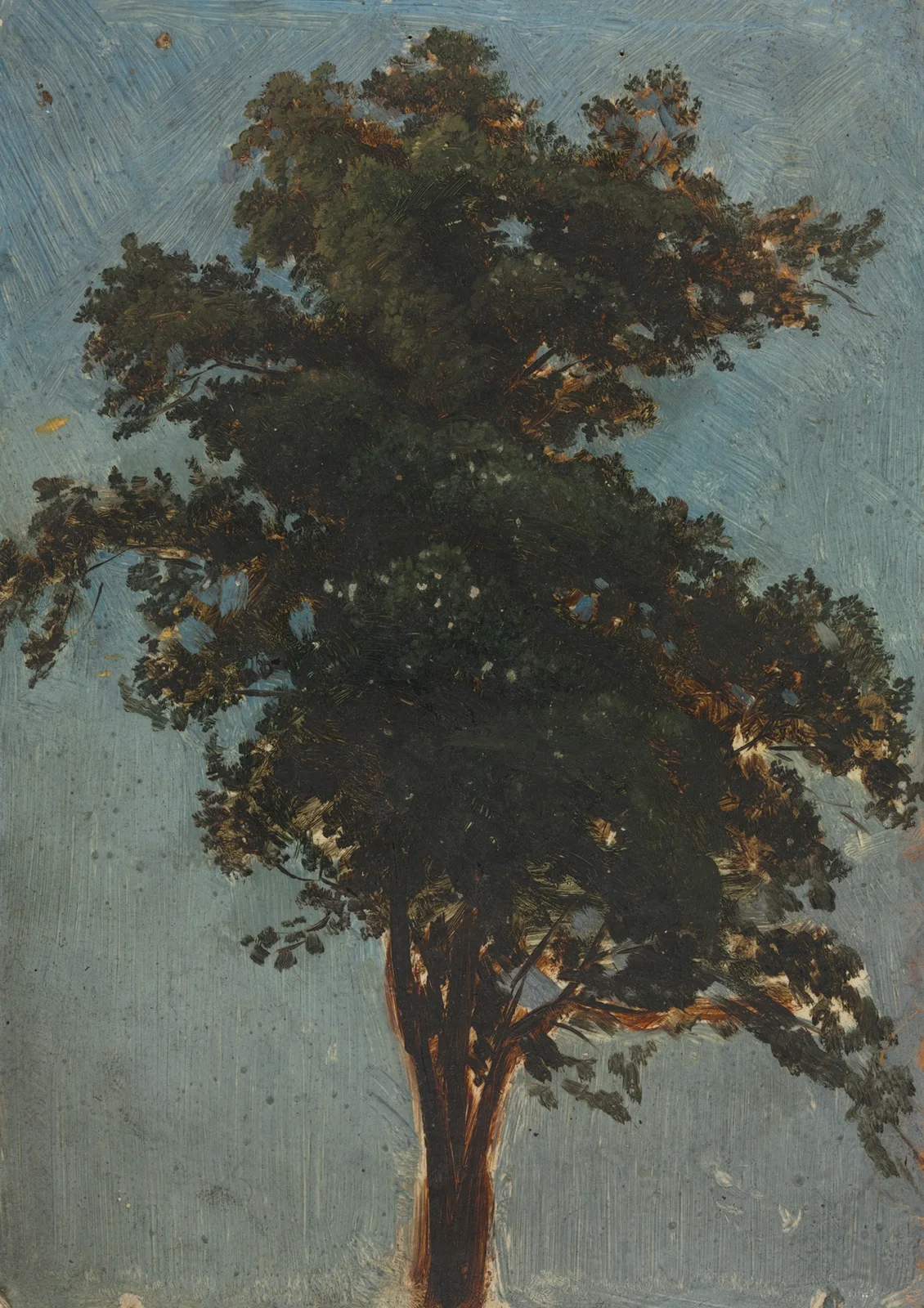 Tree Study av Alexandre Calame