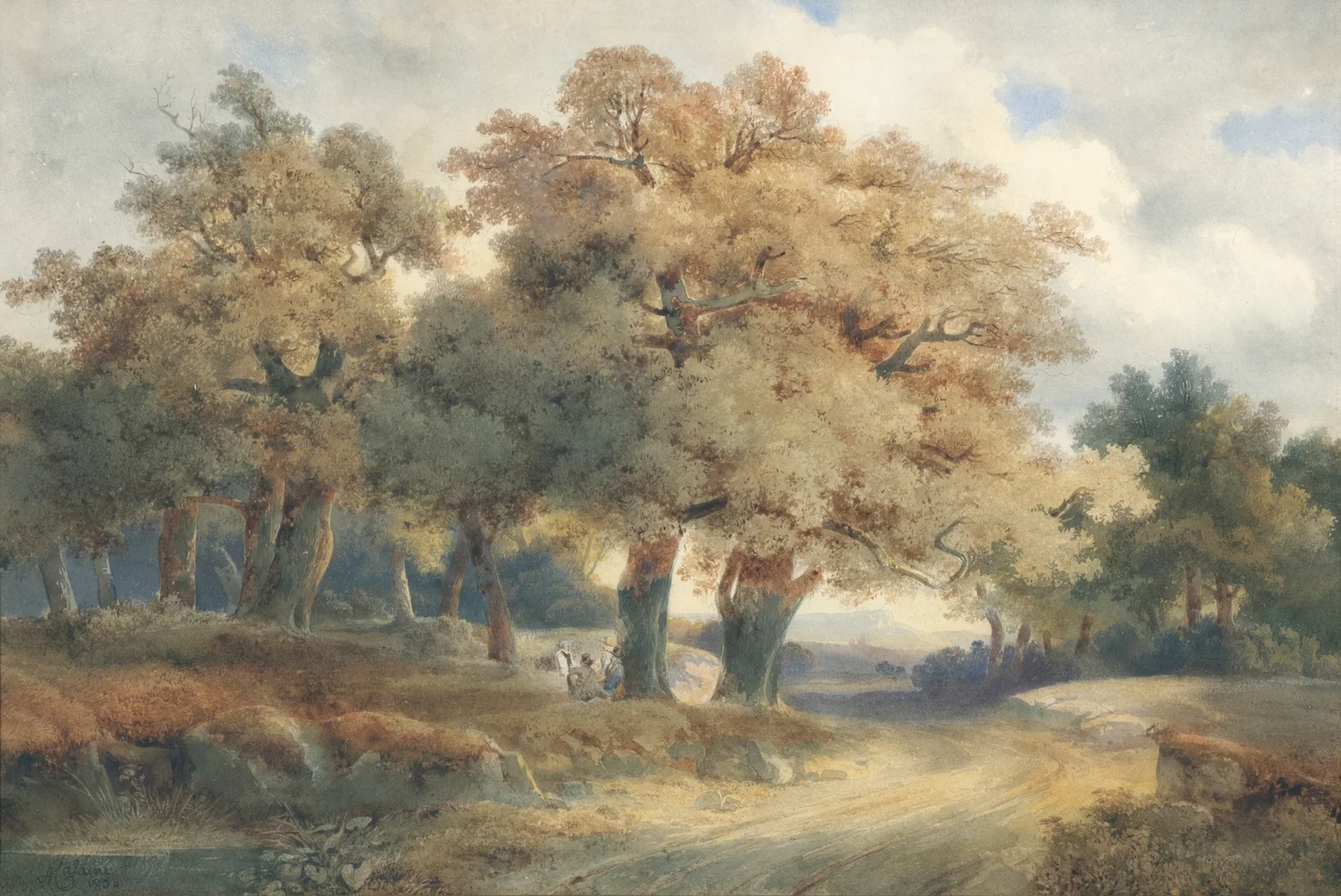 Trees, Tracks And Figures av Alexandre Calame