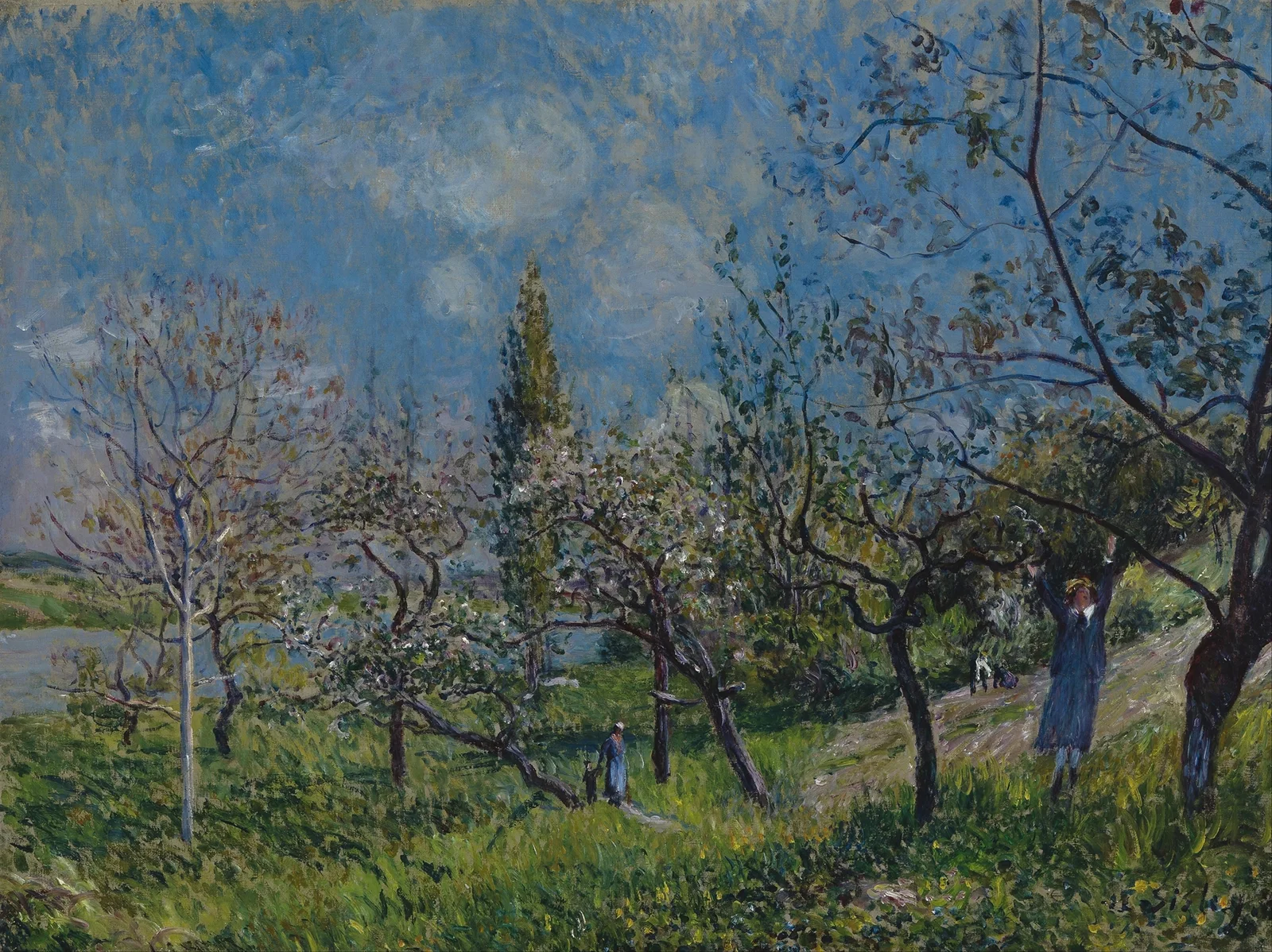 Orchard in Spring av Alfred Sisley