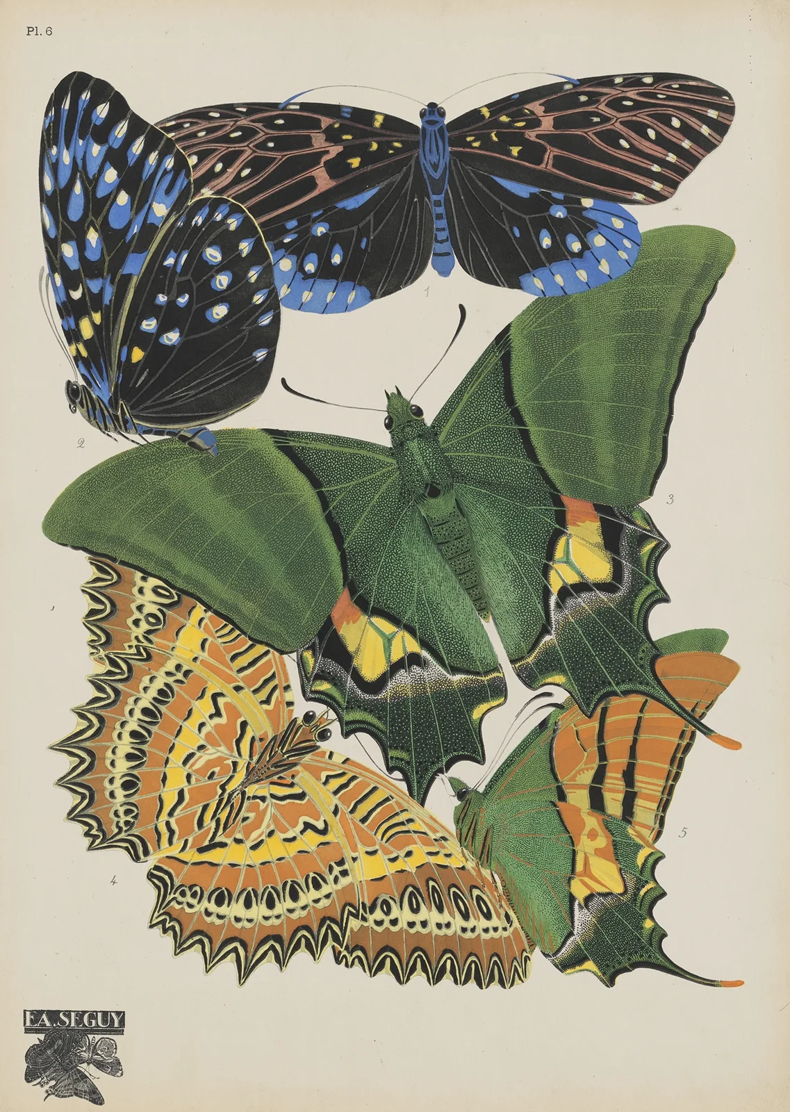 Papillons Pl.06 av Emile-Allain Séguy