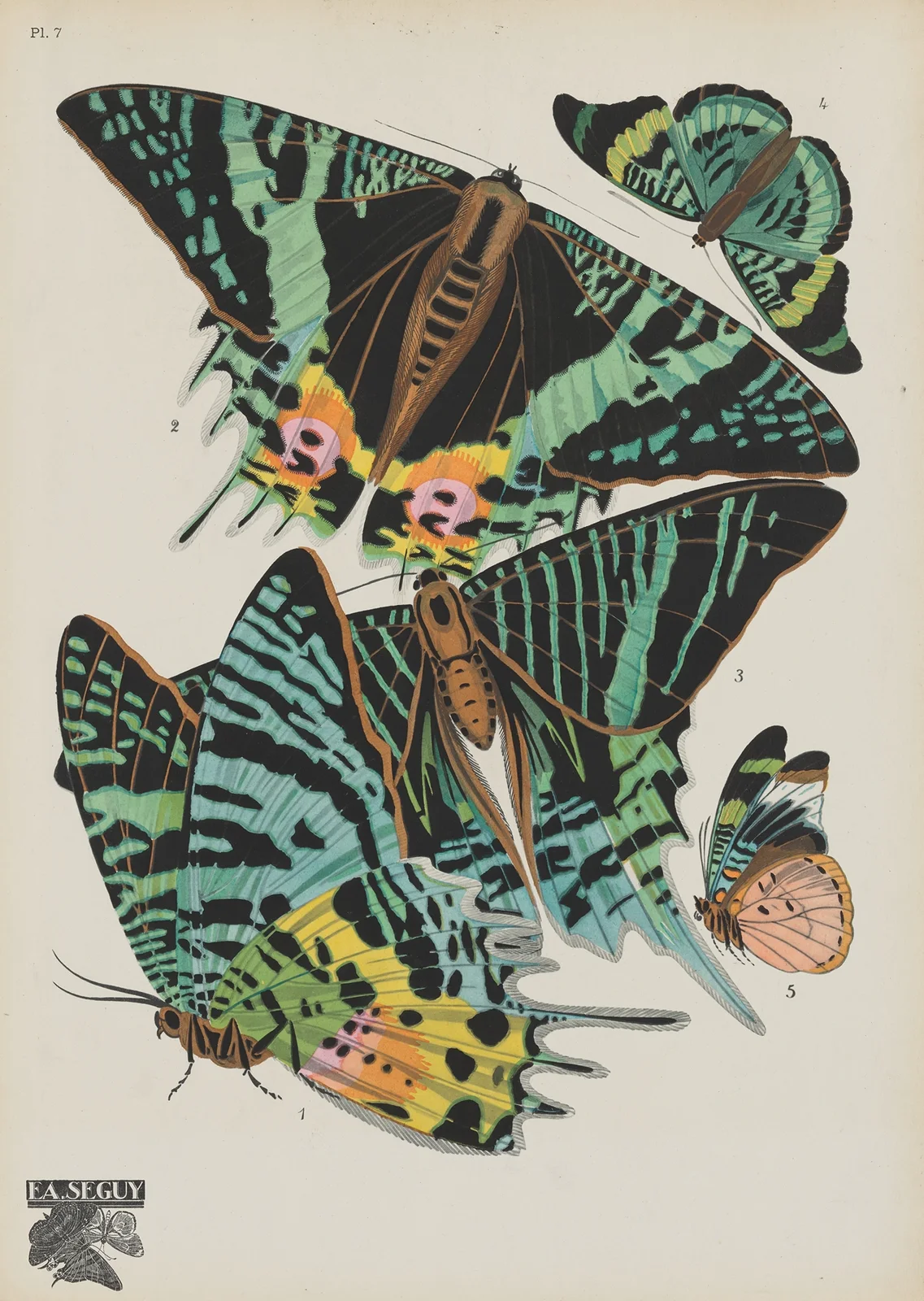 Papillons Pl.07 av Emile-Allain Séguy