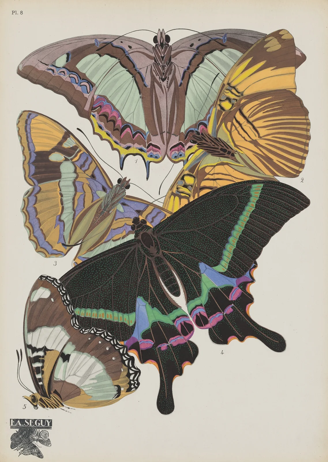 Papillons Pl.08 av Emile-Allain Séguy