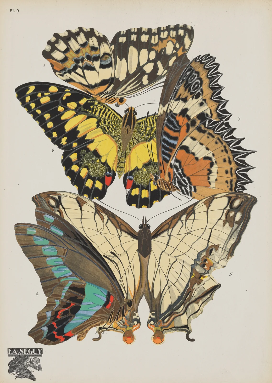Papillons Pl.09 av Emile-Allain Séguy