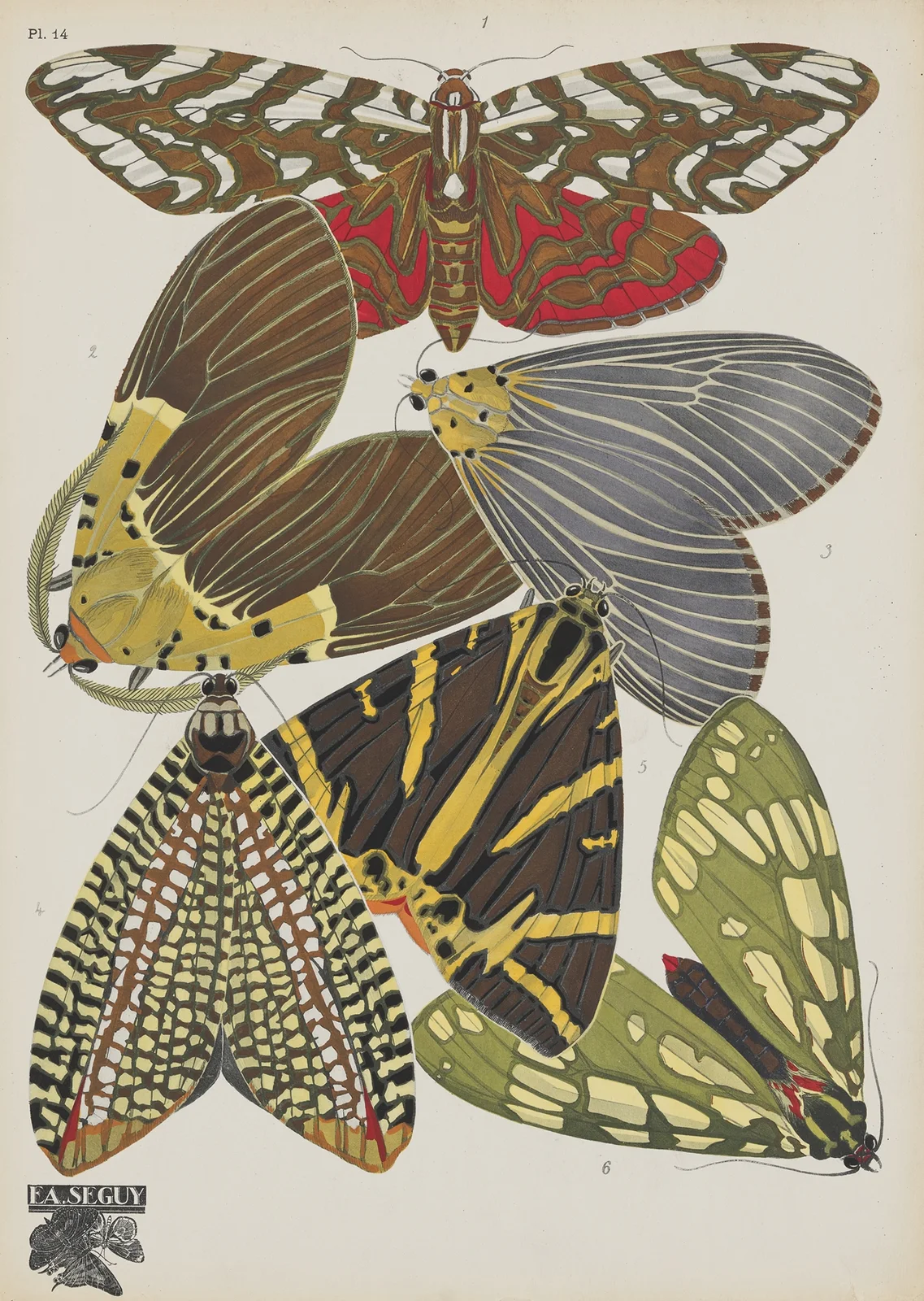 Papillons Pl.14 av Emile-Allain Séguy