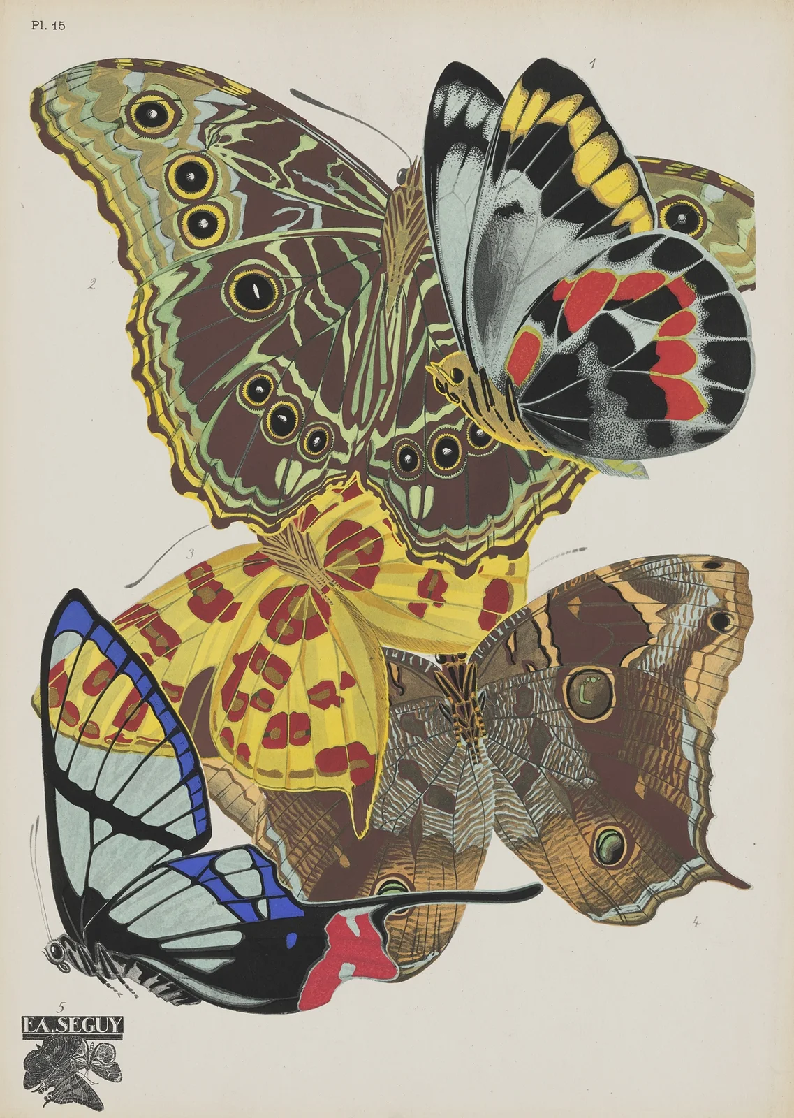Papillons Pl.15 av Emile-Allain Séguy