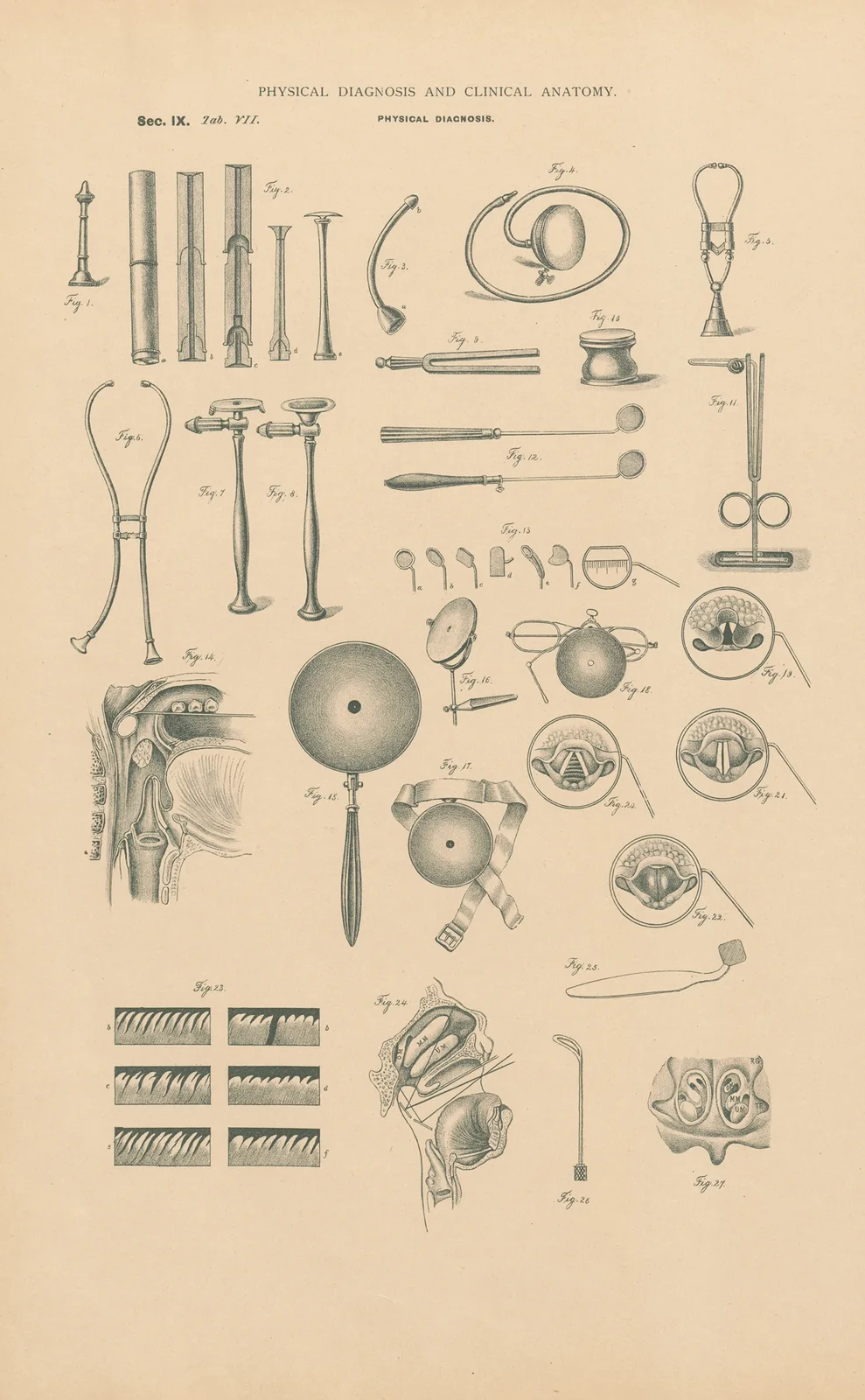 Instruments used in physical exploration av Jean Allard Jeancon