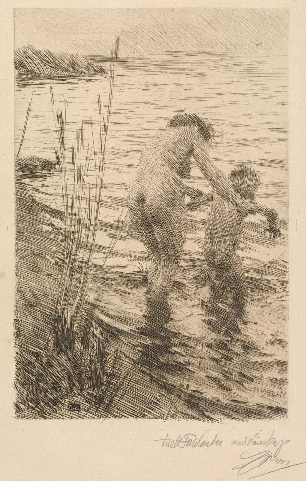Première av Anders Zorn