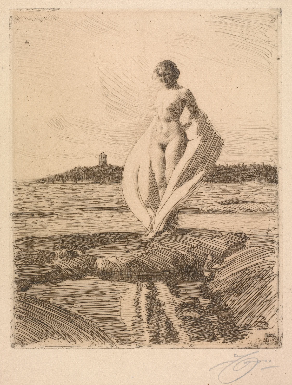 The Swan av Anders Zorn