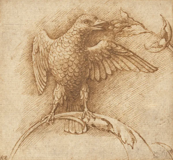 A Bird Perched on a Branch with Fruit av Andrea Mantegna