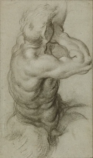Study of Triton Blowing a Conch Shell av Annibale Carracci